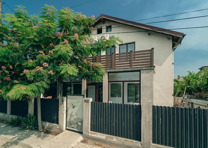 Casa Amina * スリナ